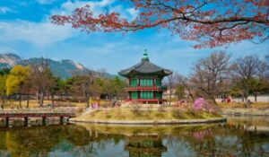 Luxury Concierge Travel South Korea